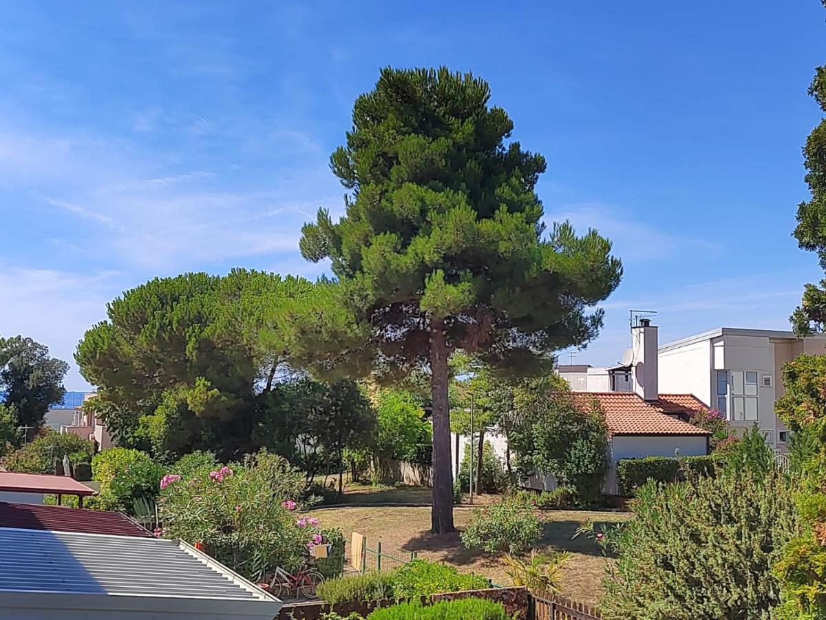 Apartment Golden Sun, Novigrad, Istria, Croatia Novigrad  Bagian luar foto
